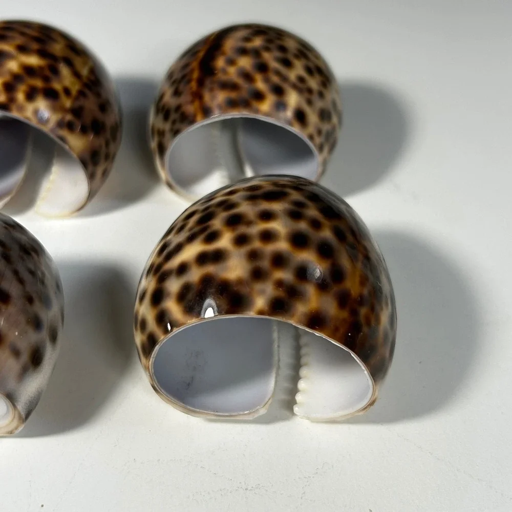 Vintage Tiger Cowrie Shell Napkin Rings Set of 6 Coastal Nautical Table Decor